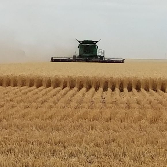 Meet your Posher, Stacie - Picture 1 of 1